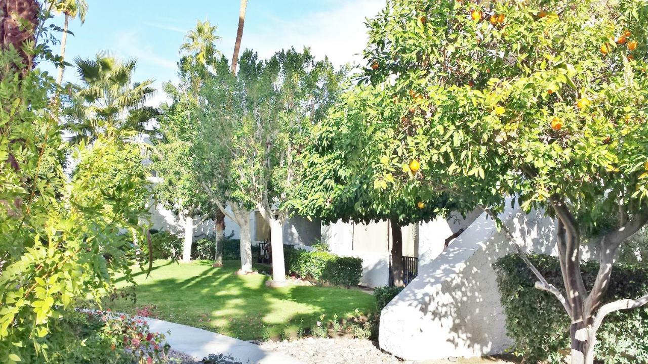 Palm Canyon Villas Palm Springs Extérieur photo