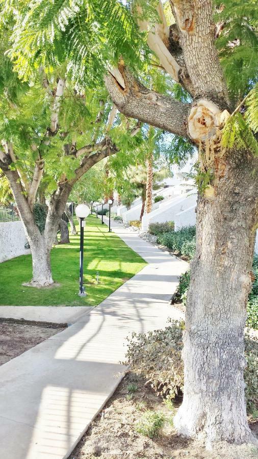 Palm Canyon Villas Palm Springs Extérieur photo